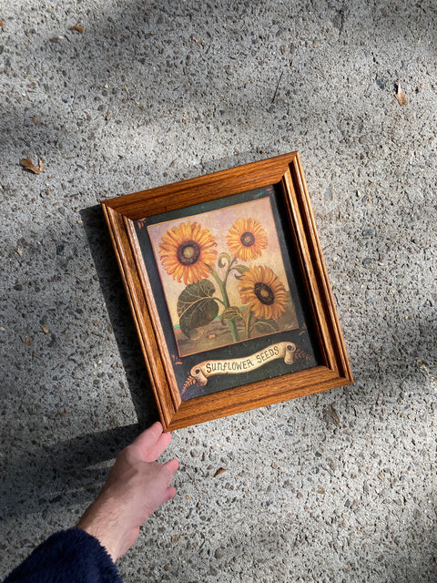 Sunflower Seeds Frame, 10x12”