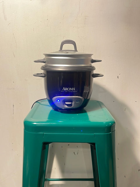 Aroma Rice Cooker + Steamer