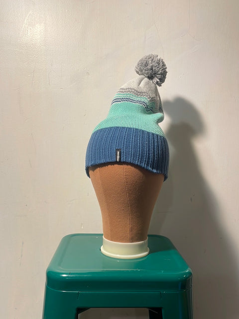 Patagonia Ski Hat