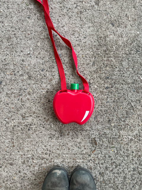 Cute Apple Canteen