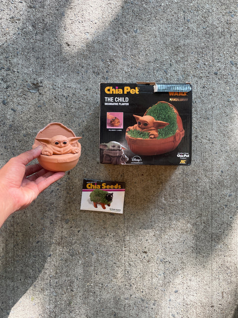 Chia Pet Mandalorian Edish