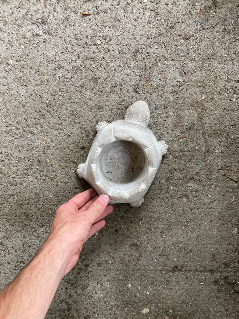 Tortuga Concrete Planter