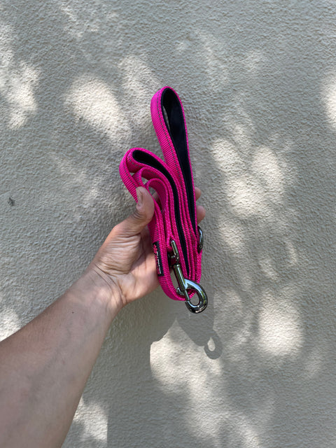 Fuschia Dog Leash