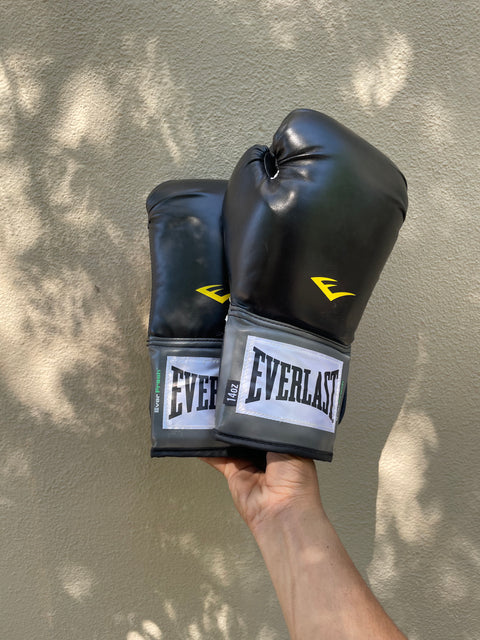 Everlast 14oz Pro Style Gloves