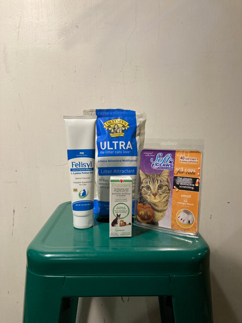 Take Care of Your Cat Kit