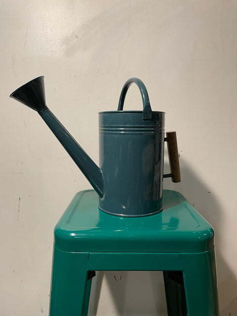 Cute 3L Watering Can