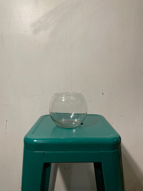 Round Glass Vase