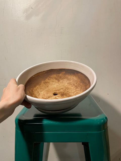 Cool Ceramic Planter & Saucer