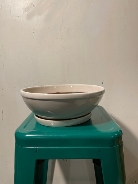 Cool Ceramic Planter & Saucer