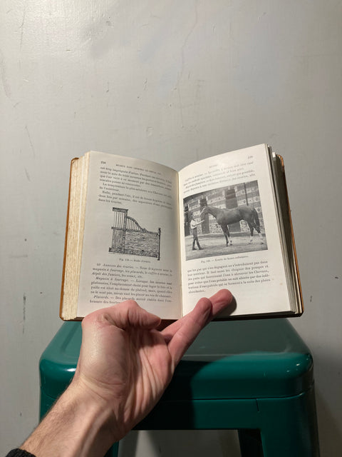 Old French Book On Horse Training