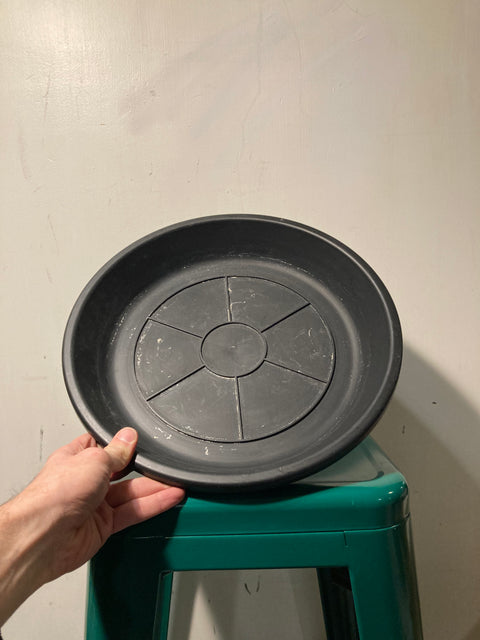 Biiiig 14" Saucer