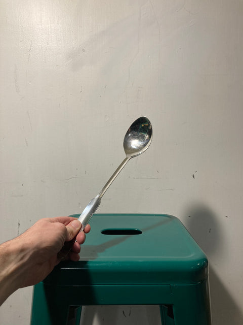 Big Serving Spoon