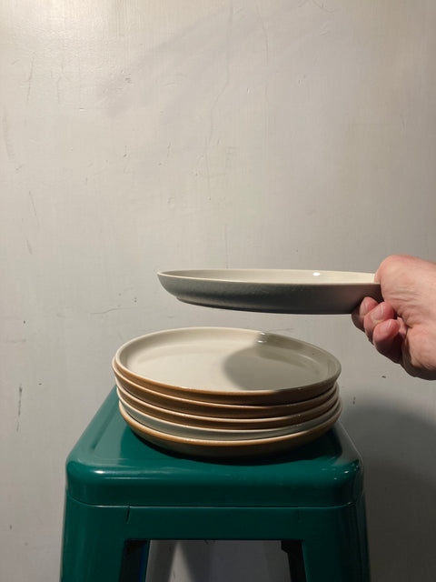 Set of West Elm Dinner Plates