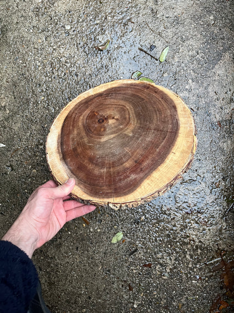 Round Wood Cutting Board & Serving Tray With Bark