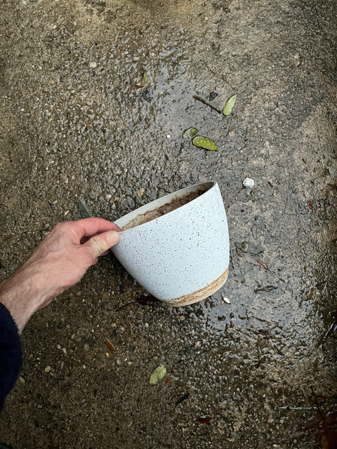 Round Plastic Planter