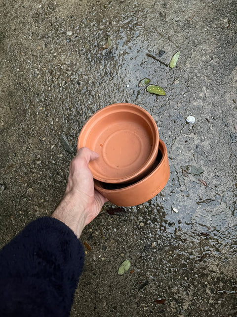 Two Shallow Terracotta Saucers