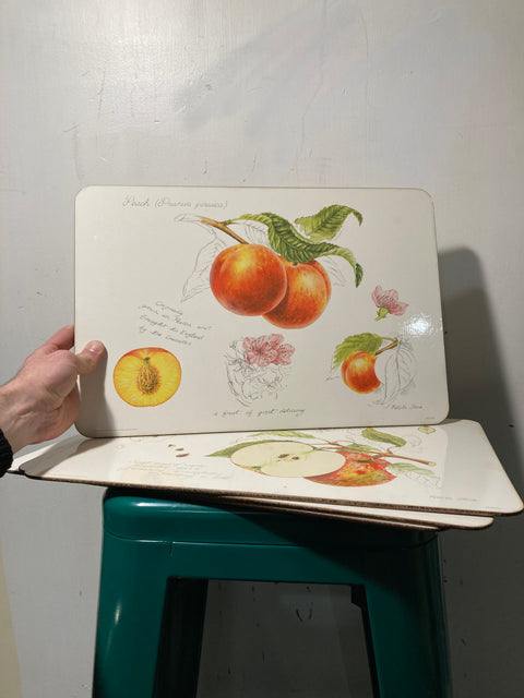 Vintage Fruit Placemats