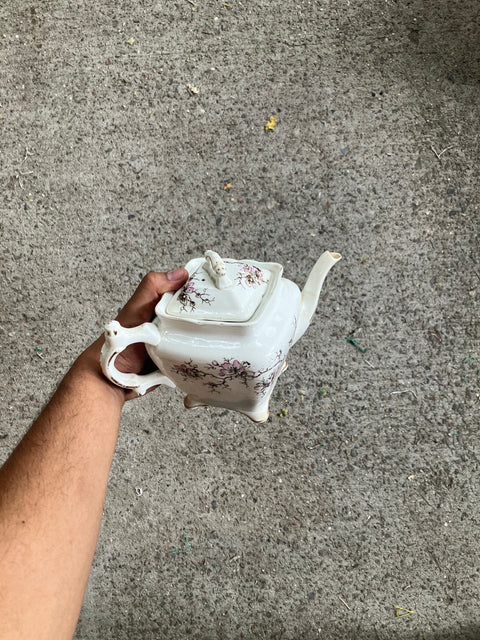 Beautiful Tea Pot