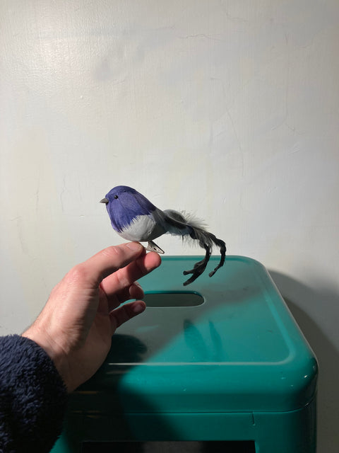 Decorative Blue Bird