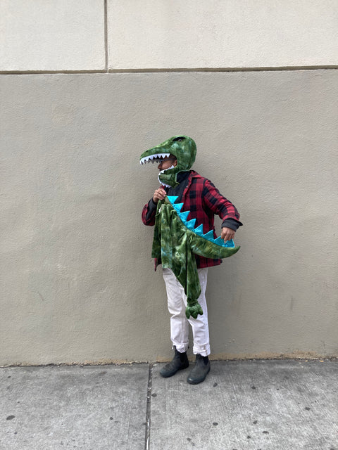 Pottery Barn Kids Light-Up T-Rex Costume