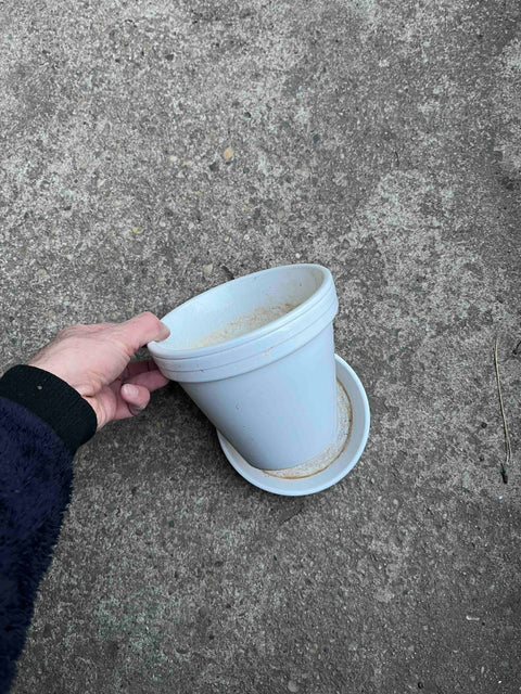 Ceramic White Plant Pot with Saucer