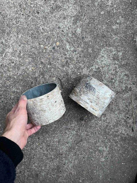 Birch Planters Set