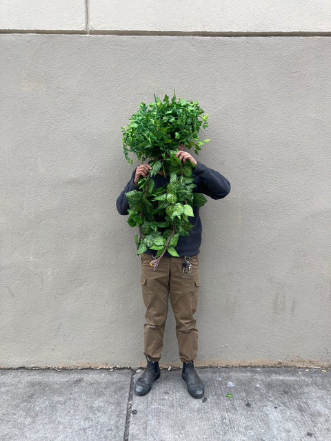 Set of Fake Plants Guirlandes