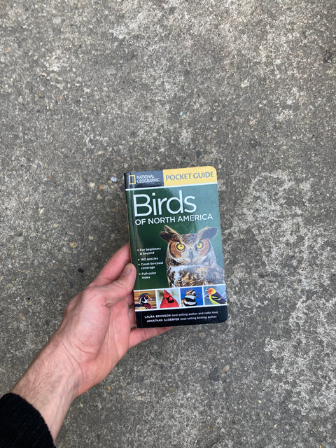 Birds Of North America, Pocket Guide