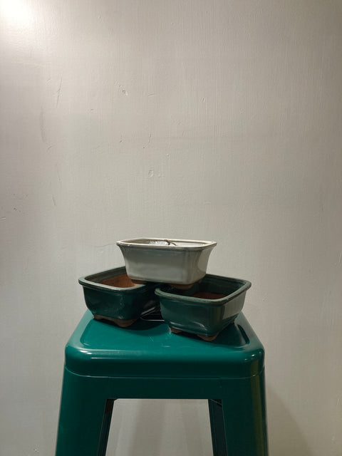 Set of Bonsai Pots