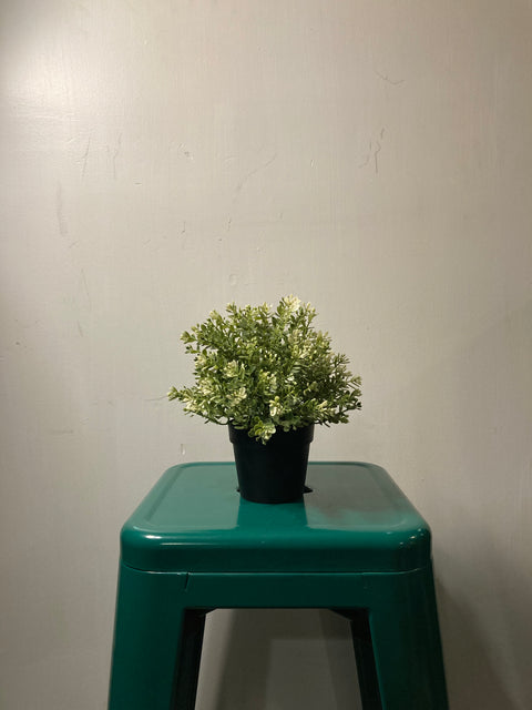 Fake Plant