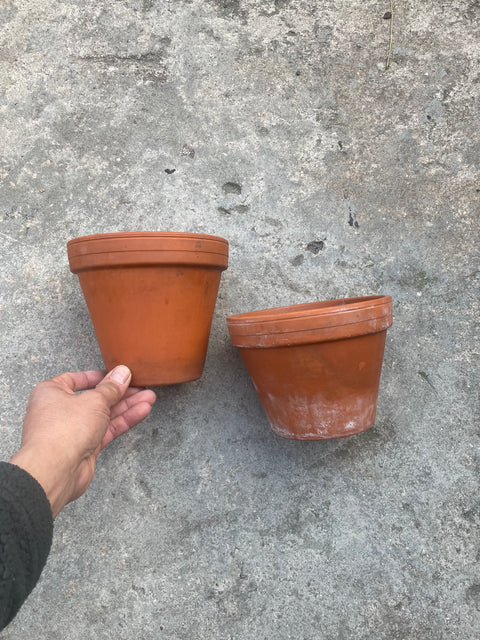 2 Terracotta Pots