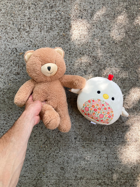 A Bear & A Chicken Stuffed Animals