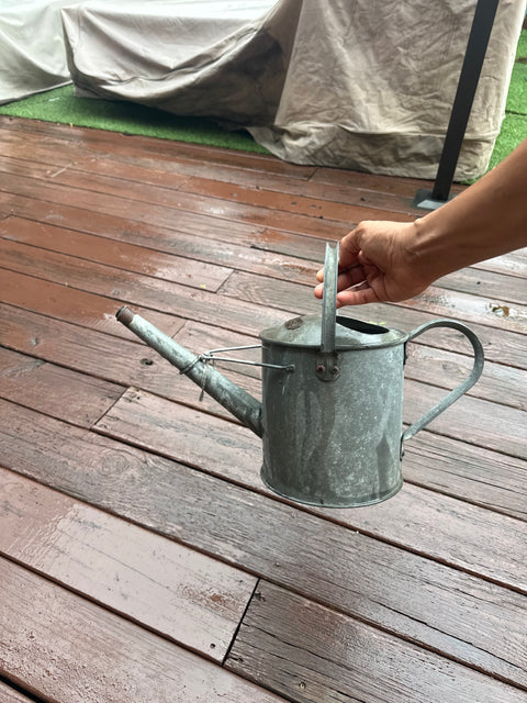 Pretty Watering Can