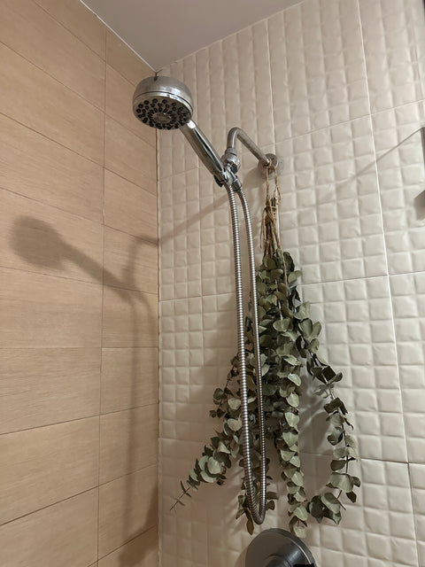 Shower Head