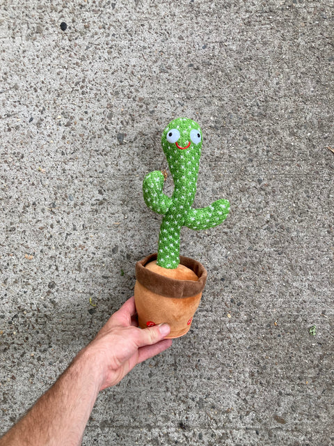 Musically-inclined Cactus