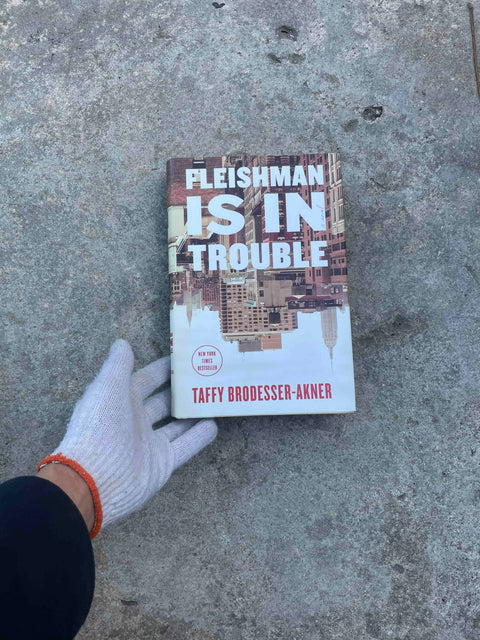 Fleishman Is In Trouble by Taffy Brodesser-Akner