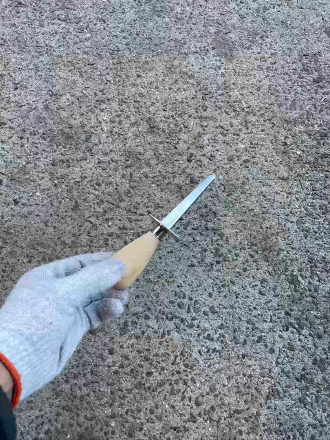 Oyster Shucker