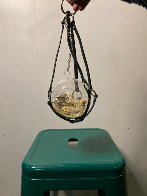 Hanging Terrarium