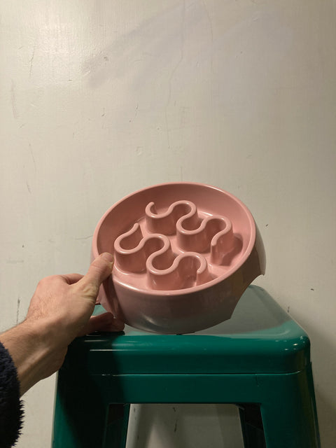 Slow Feeder Dog Bowl