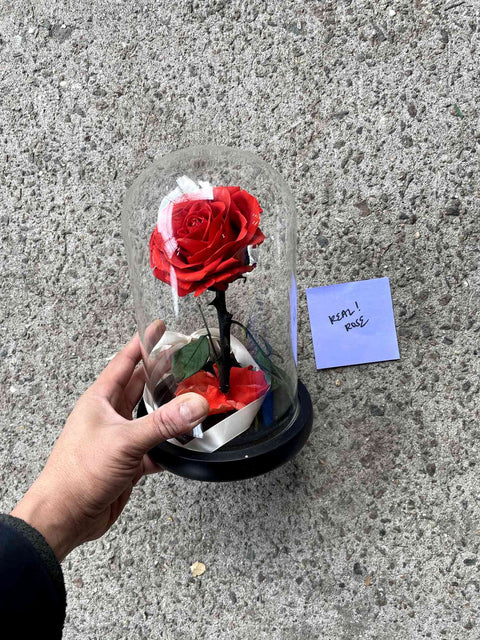 Preserved Red Rose Display