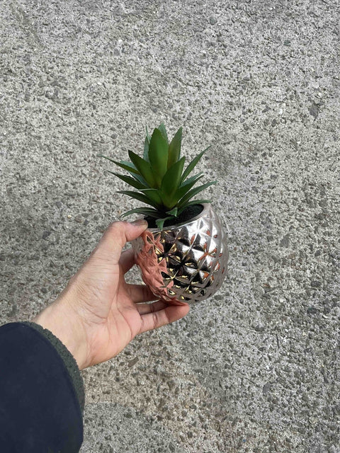 Silver Pineapple Planter